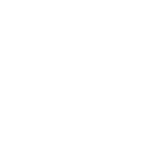 Visita