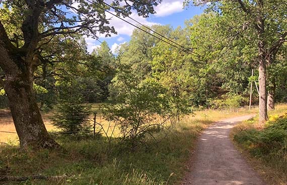 Cykelväg från Slussen