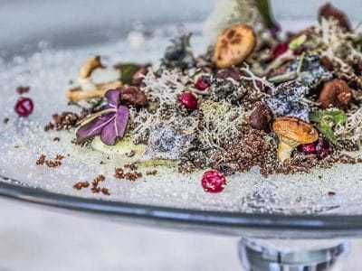 Magasinet 2019 – Från skogen till tallriken