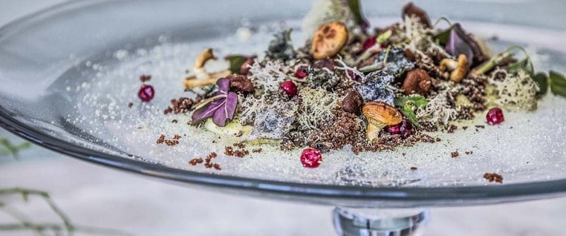 Magasinet 2019 – Från skogen till tallriken