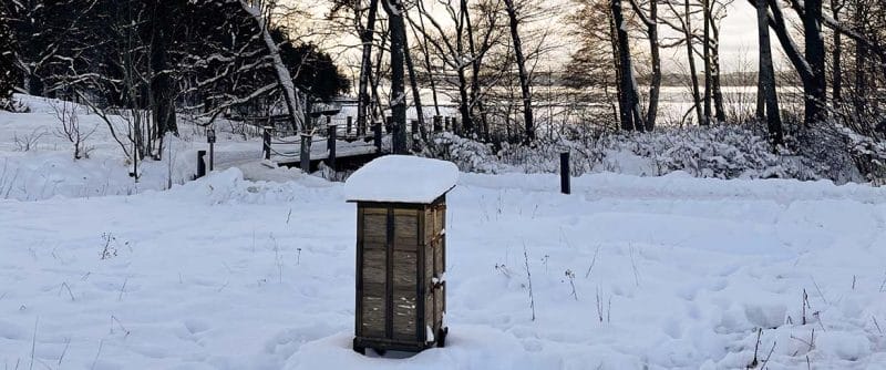 Foto av en snötäckt bikupa som finns placerad på vår äng