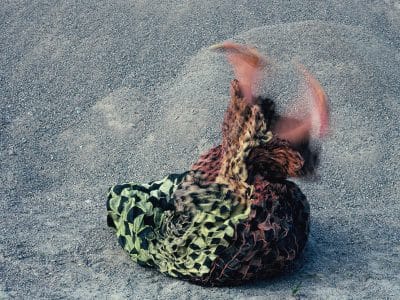 Kvinna intrasslad i tyg sprattlar med benen mot grå bakgrund.