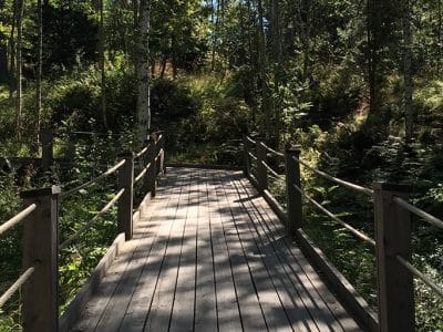 Artipelags promenadstråk genom blomstrande natur