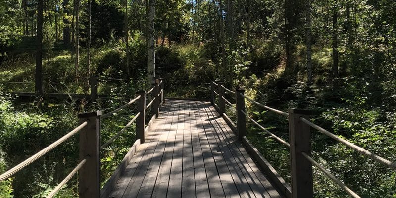 Artipelags promenadstråk genom blomstrande natur