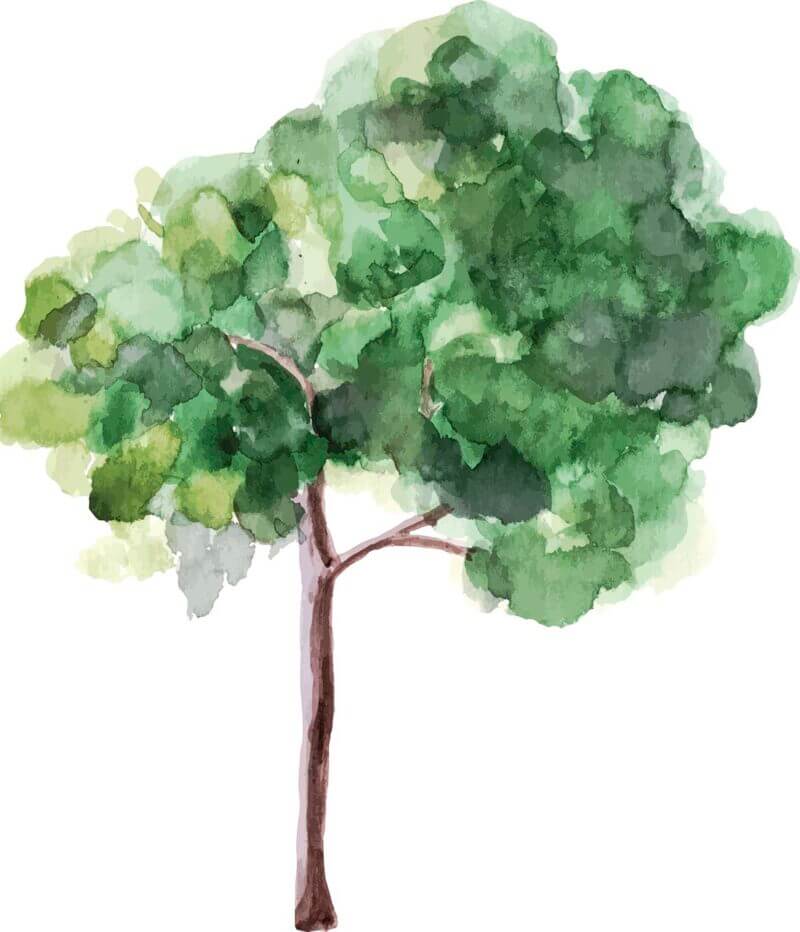 Vattenfärgsmålning av träd