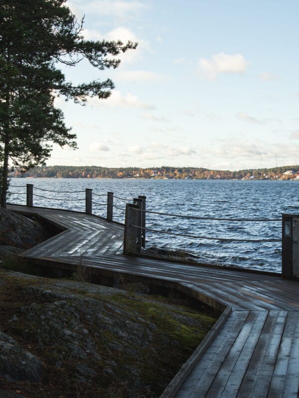 Experience tranquil nature walks along the wooden boardwalk, which meanders a rocky shoreline. The path offers stunning views of a vast body of water and distant tree-lined hills on a clear day, with a solitary tree standing gracefully to the left.