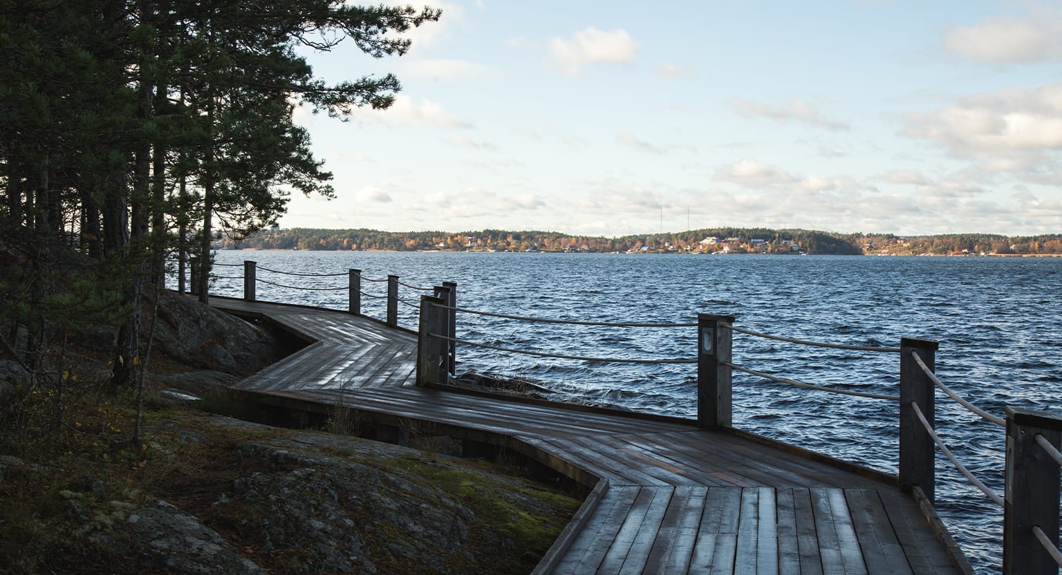 Experience tranquil nature walks along the wooden boardwalk, which meanders a rocky shoreline. The path offers stunning views of a vast body of water and distant tree-lined hills on a clear day, with a solitary tree standing gracefully to the left.