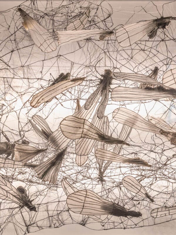 Detalj av intrikat trådskulptur som föreställer olika insekter på en rektangulär ram, upplyst bakifrån, mot en mörk bakgrund.