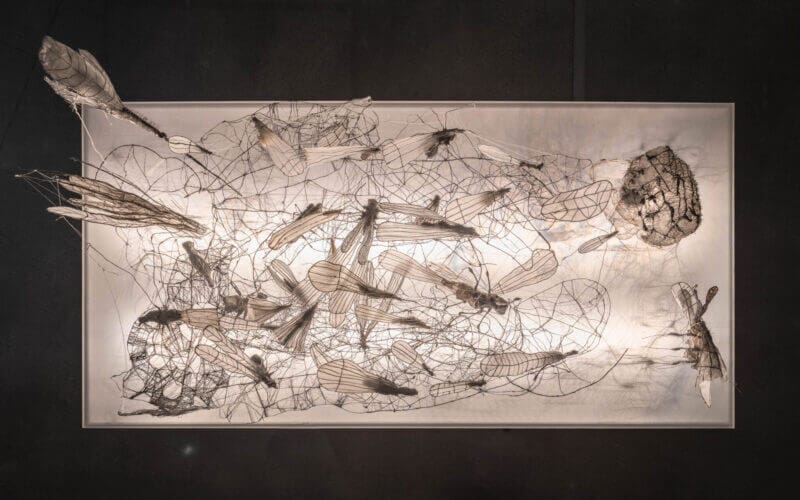 Intrikat trådskulptur som föreställer olika insekter på en rektangulär ram, upplyst bakifrån, mot en mörk bakgrund.