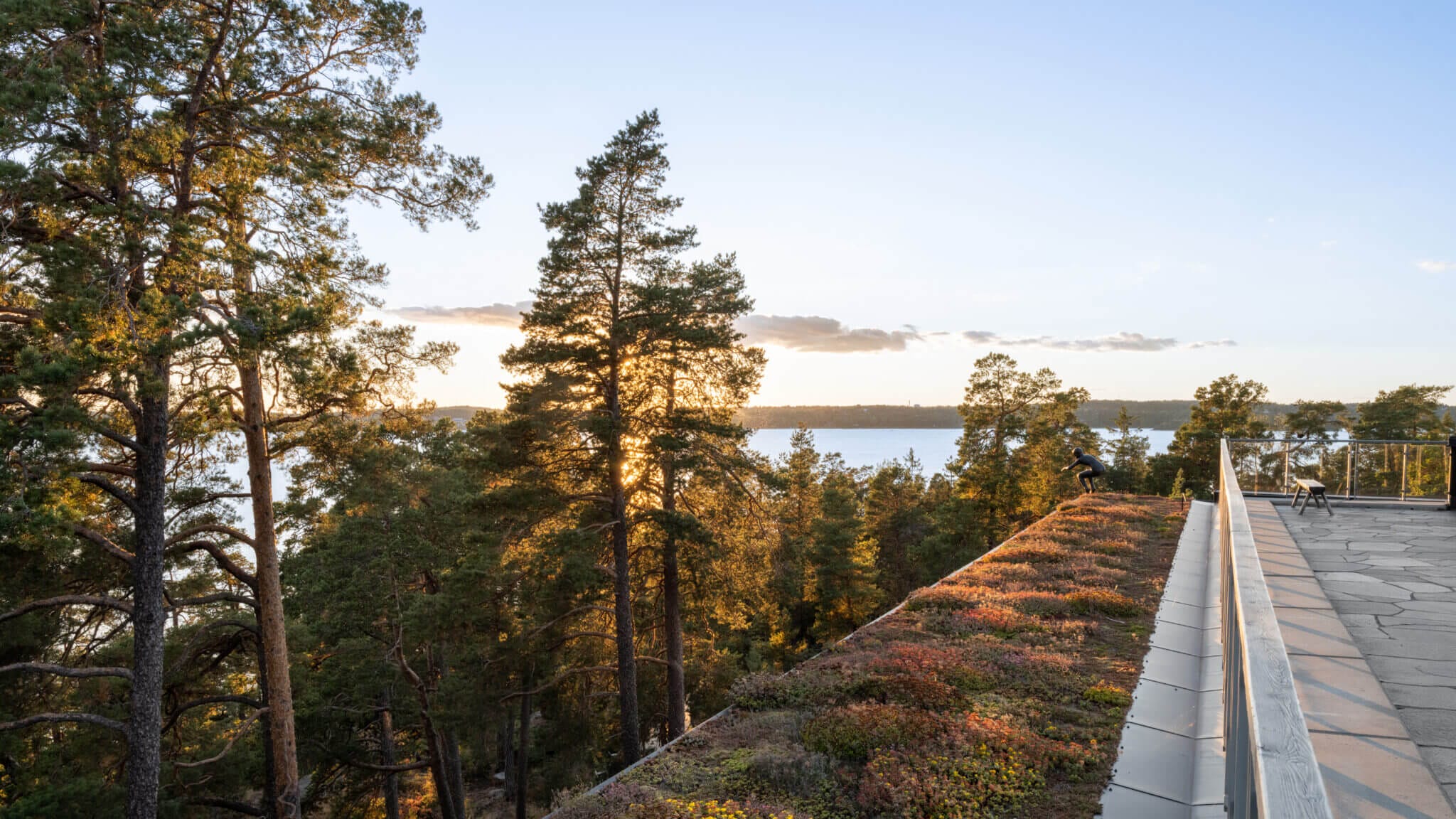 Utsikt över en tallskog och vattenmassa vid solnedgången, med en uteplats med räcke och växter i förgrunden.