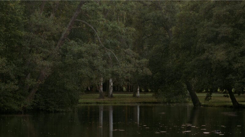 Täta gröna träd gränsar till en lugn sjö, med reflektioner i vattnet och ett gräsbevuxet område syns i bakgrunden.