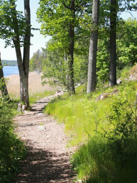 en stig längs vattnet, och med grönska på sidorna.