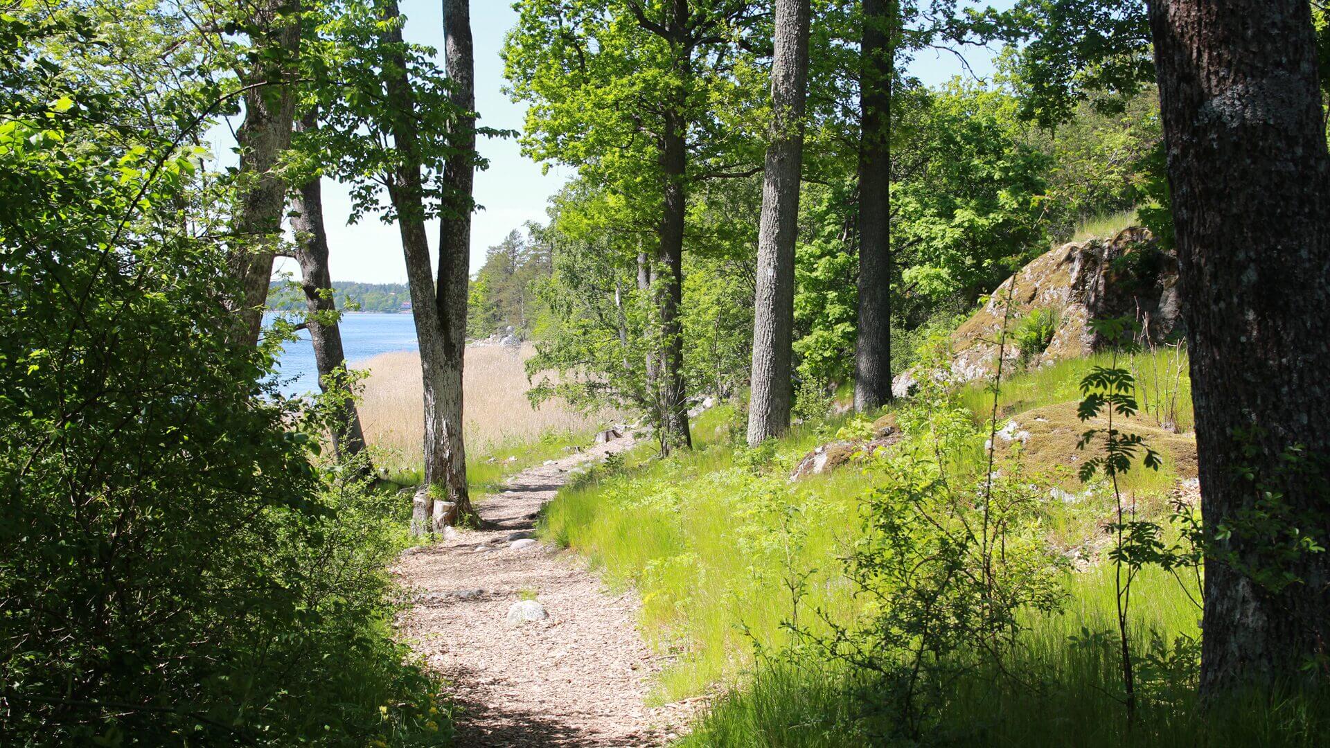 en stig längs vattnet, och med grönska på sidorna.